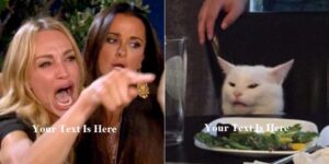 Taylor Armstrong Meme’s Download